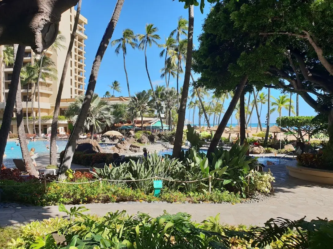 Hotell i Honolulu - från budget till lyxalternativ illustration
